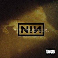 Nine Inch Nails : Live: And All That Could Have Been