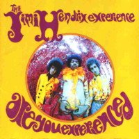 Jimi Hendrix : Are You Experienced ?