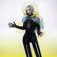 Björk : Vulnicura